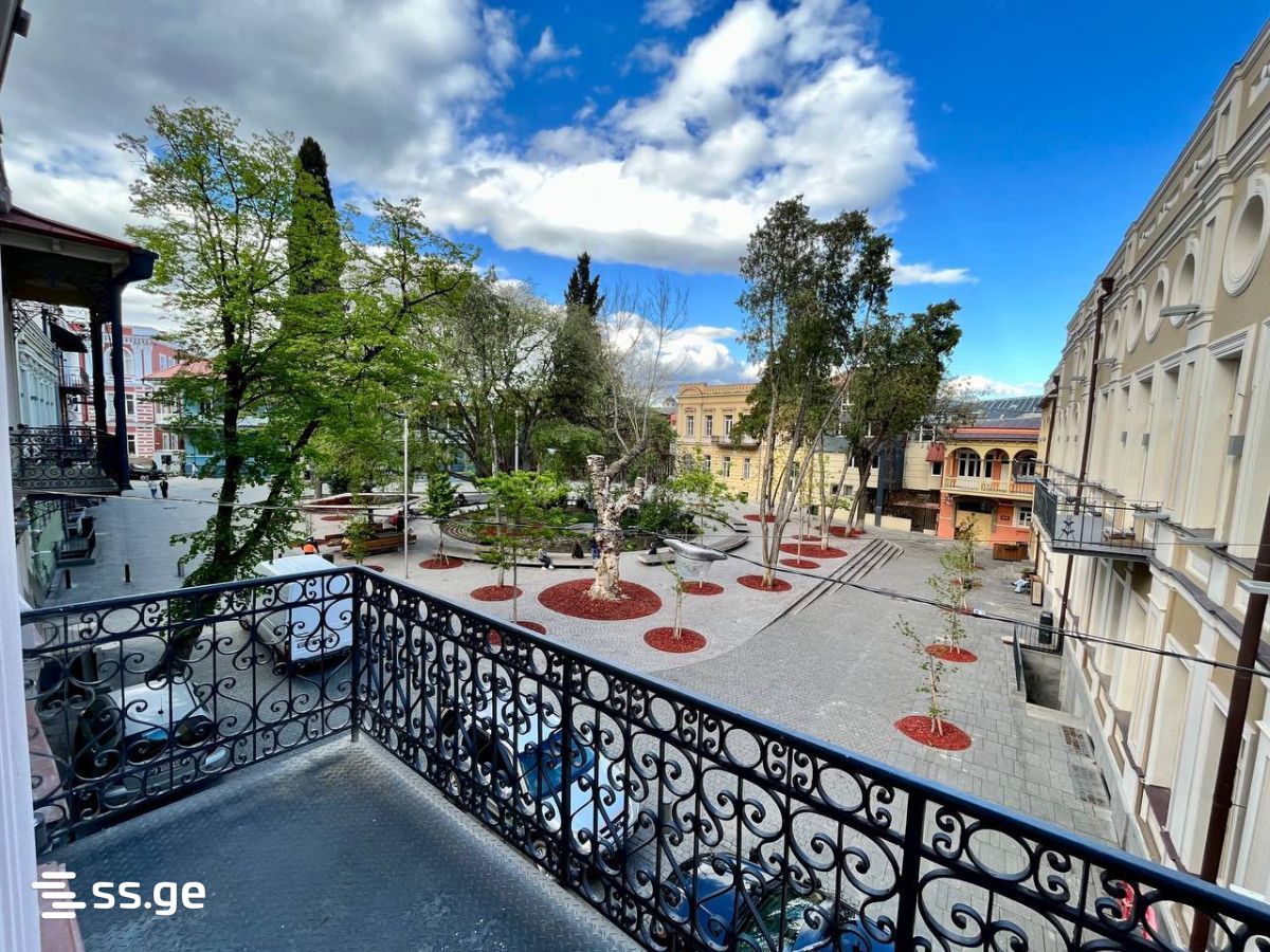 gudiashvili square - 2 rooms