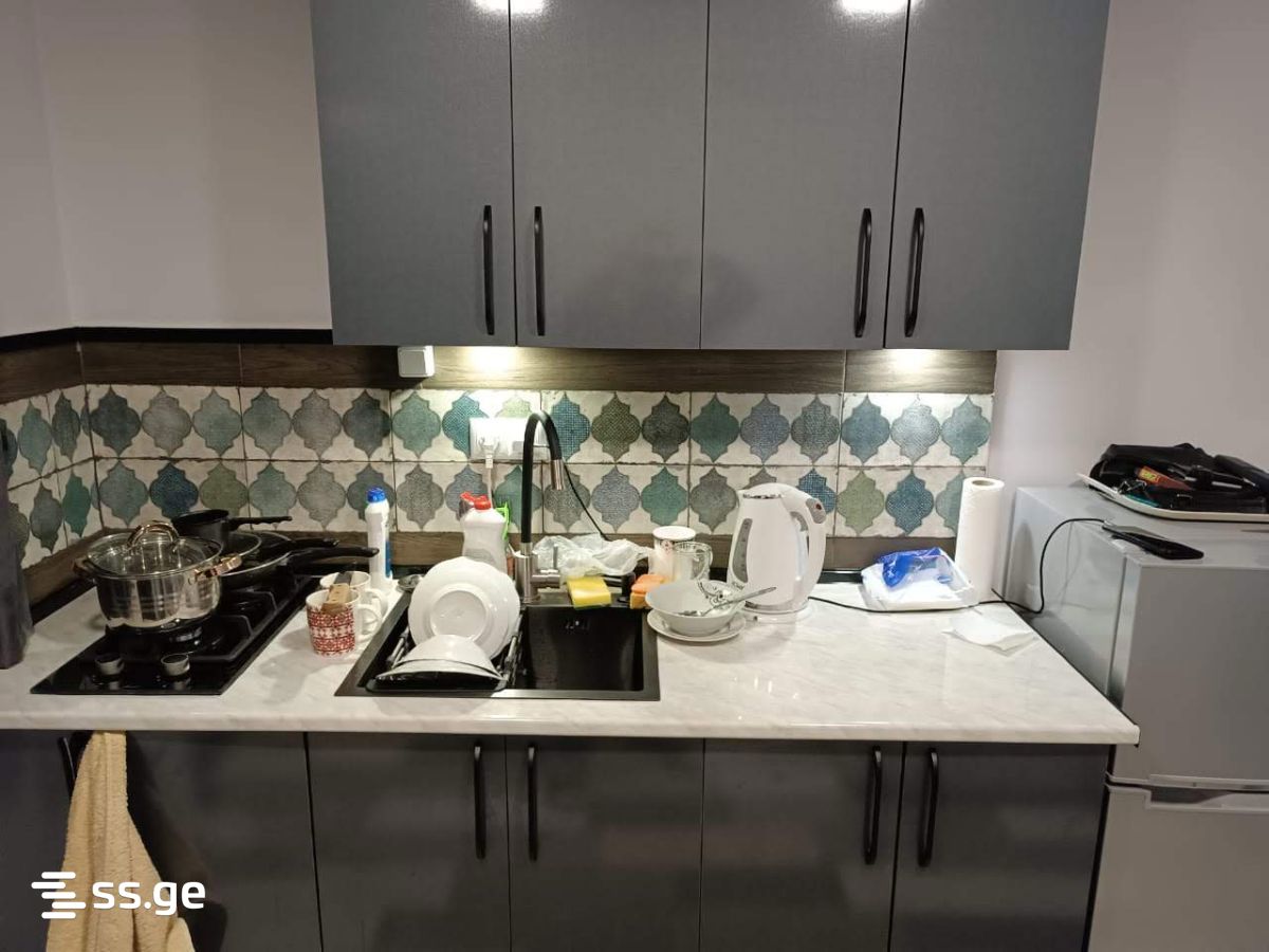 Ts. Dadiani st. (nadzaladevi) - 2 rooms