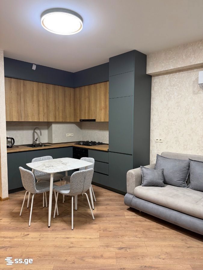 Zaldastanishvili st. 7 - 2 rooms