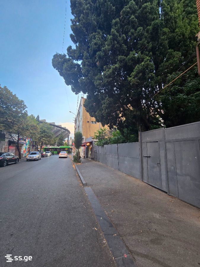 Egnate and Vakhtang Fifia st. 25 - 1 rooms