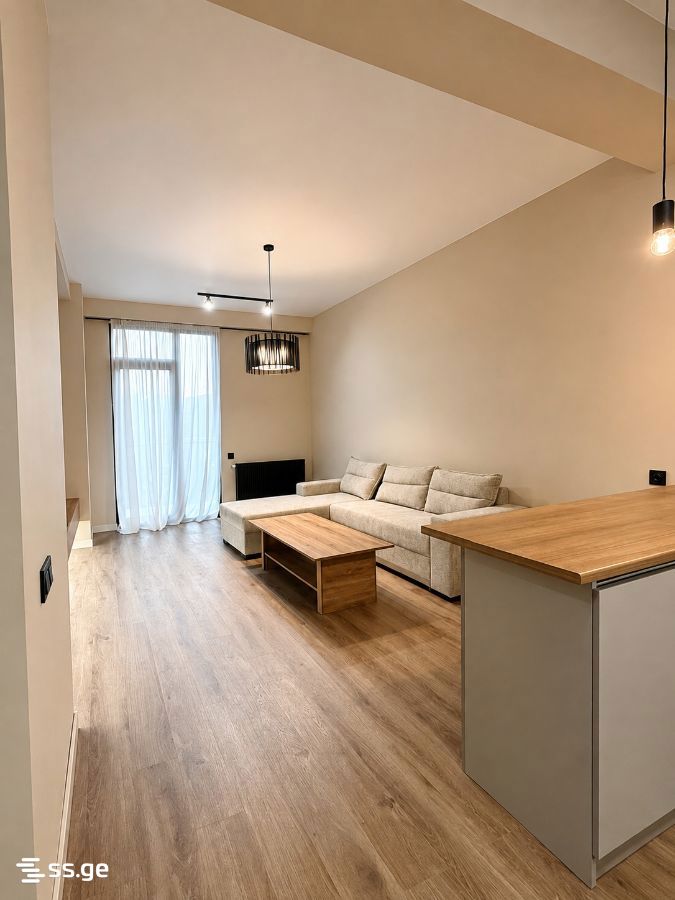agmashenebeli alley - 3 rooms