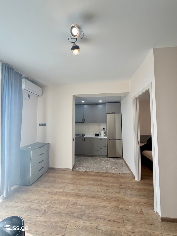 Ts. Dadiani st. (nadzaladevi) - 2 rooms