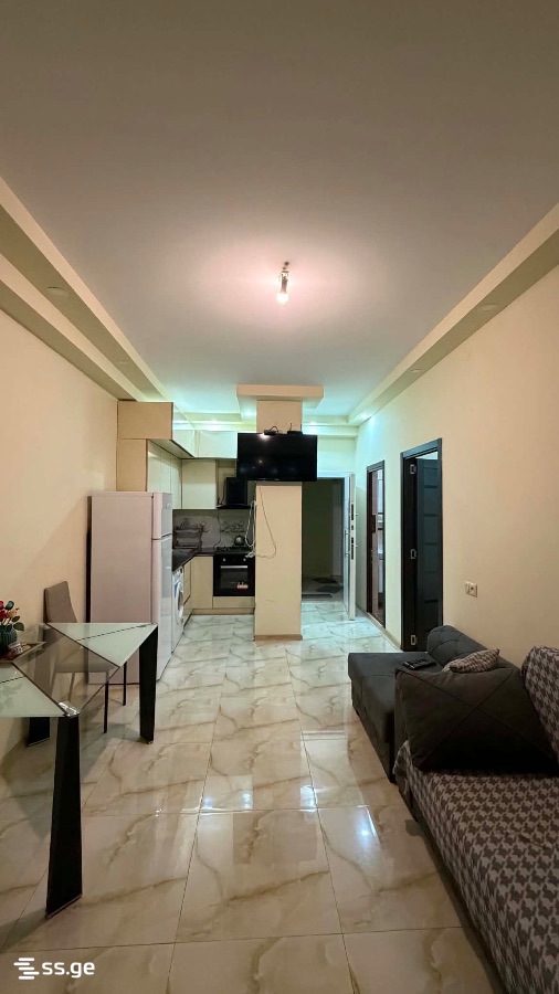 Ts. Dadiani st. (nadzaladevi) 265-267 - 2 rooms