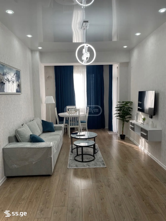 Mirian Mephe st. 113 - 2 rooms