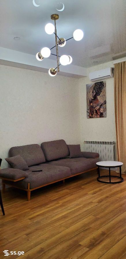 Olive st. 8 - 2 rooms