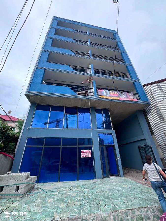 Haidar Abashidze Street 46 - 2 rooms