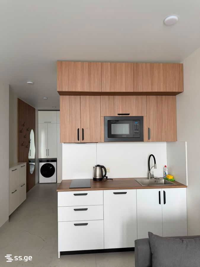 Sh. Inasaridze St. 0 - 1 rooms