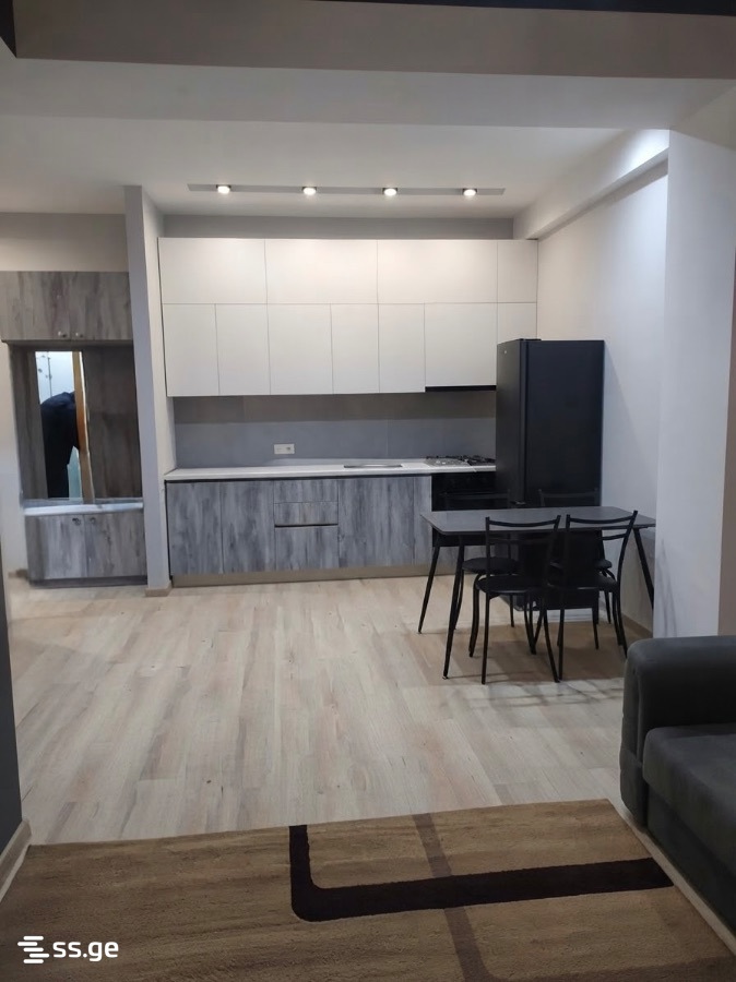 parnavaz mepe avenue - 2 rooms