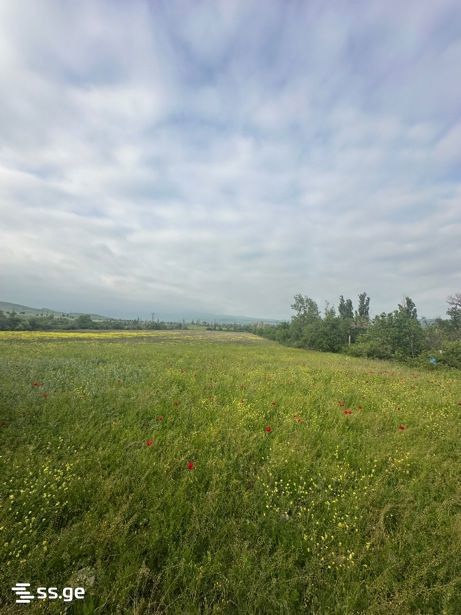 Kakheti Highway (Lilo) - 0 rooms