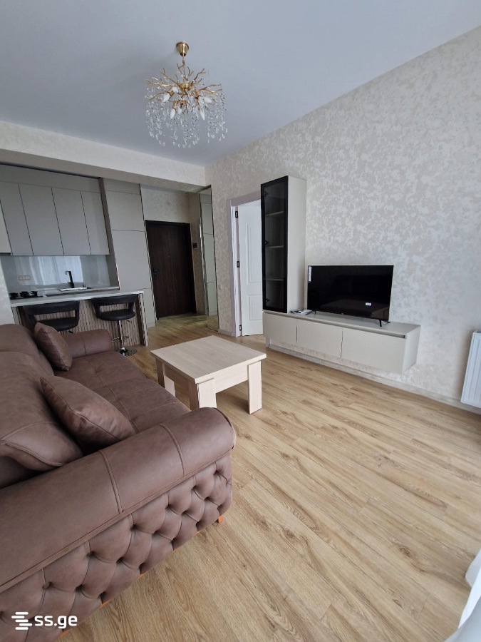 Abashidze-Orbeliani st. - 2 rooms