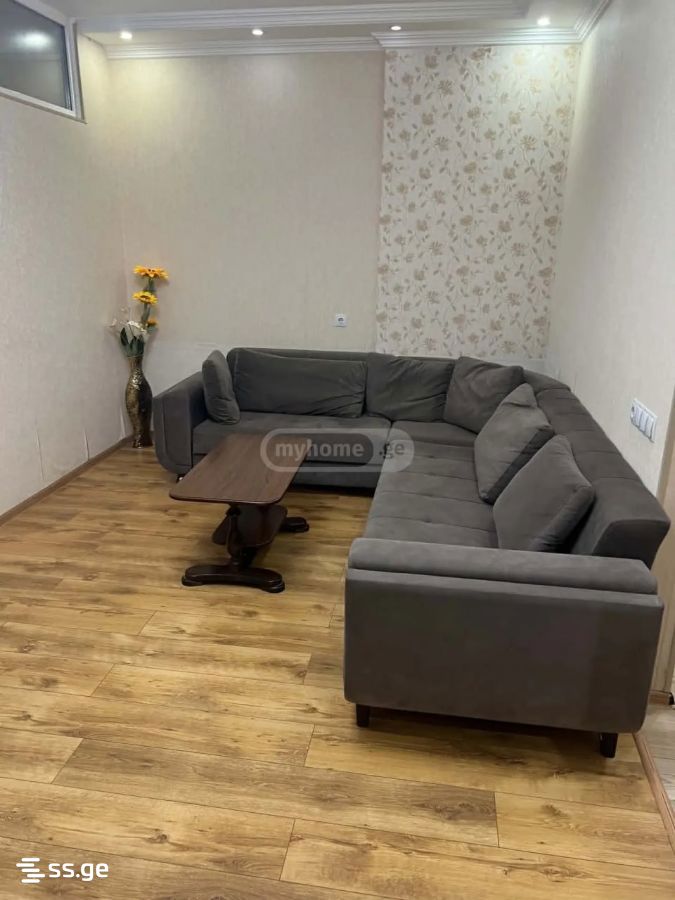 2 - 3 rooms