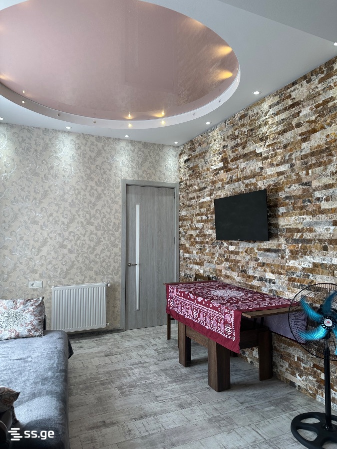 vik. naneishvili st. 2 - 2 rooms
