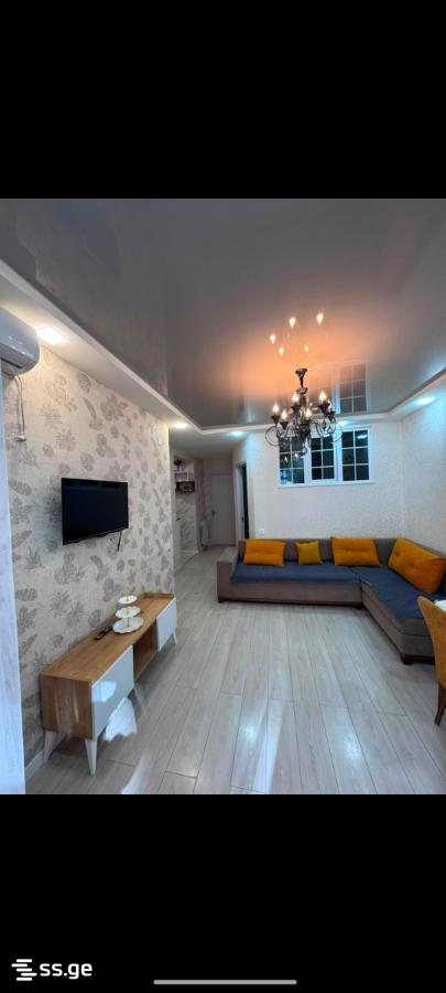 2 - 3 rooms
