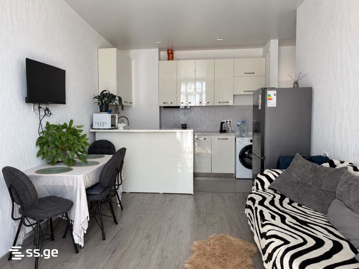 Haidar Abashidze Street 65 - 2 rooms