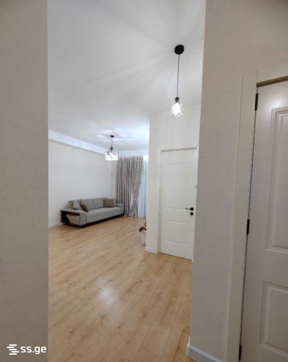 Olive st. 8 - 2 rooms