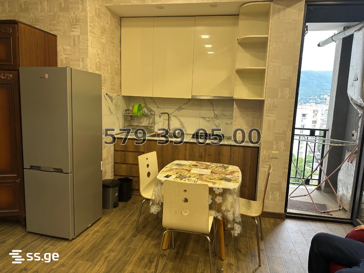 E. Amashukeli st. 33 - 1 rooms