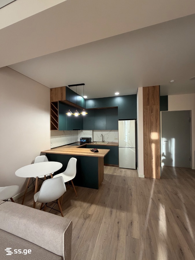 Ts. Dadiani st. (nadzaladevi) 33 - 2 rooms