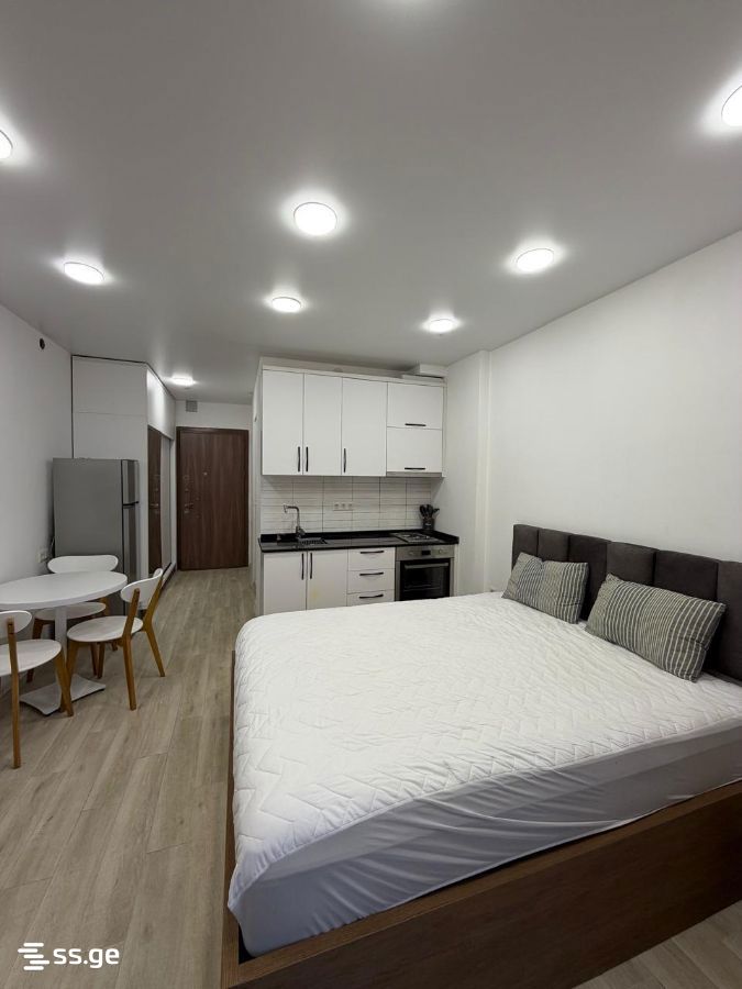 Tamar Mepe Avenue 48 - 1 rooms