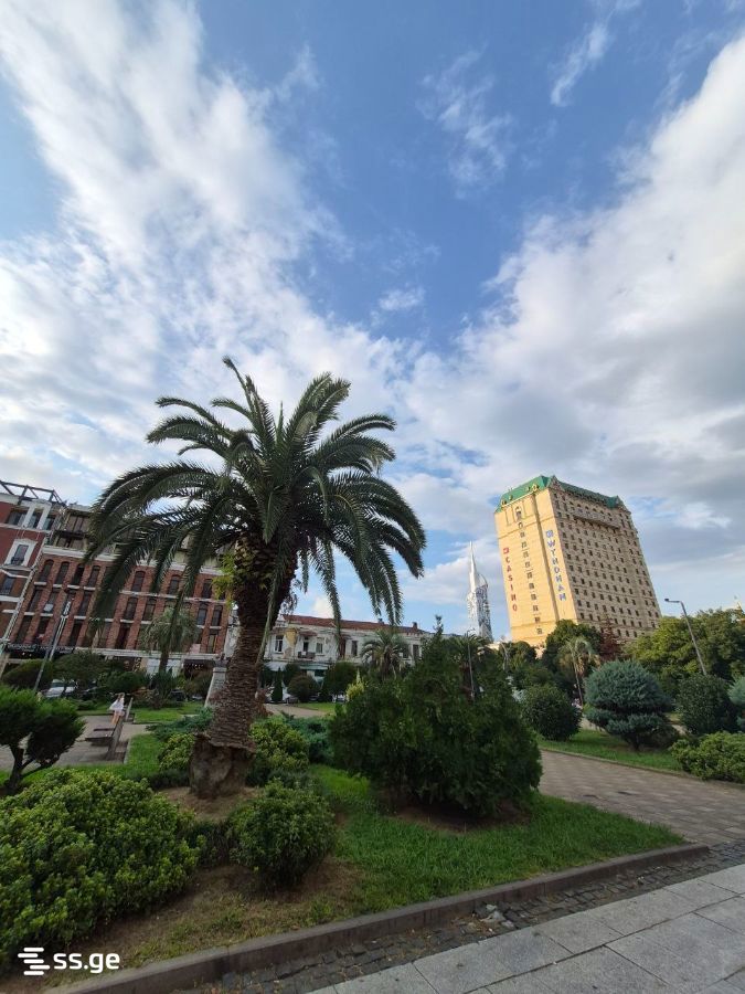 Z. Gorgiladze Street 13 - 2 rooms
