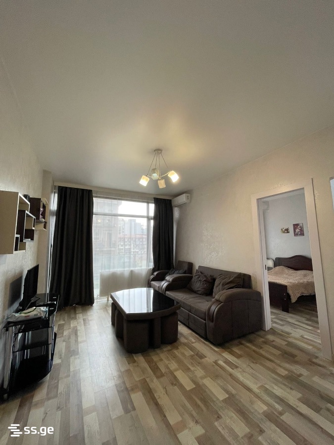 Haidar Abashidze Street 65 - 2 rooms