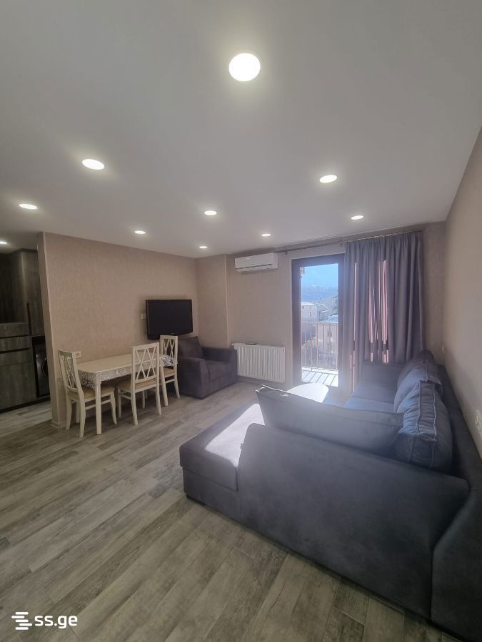shevardenidze st. - 2 rooms