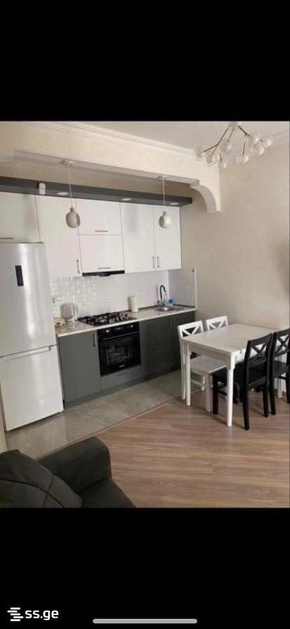 agmashenebeli alley ანდრონიკაშვილის66 - 2 rooms