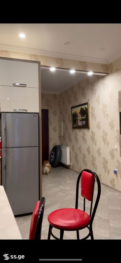 Sherif Khimshiashvili Ave 49 - 2 rooms