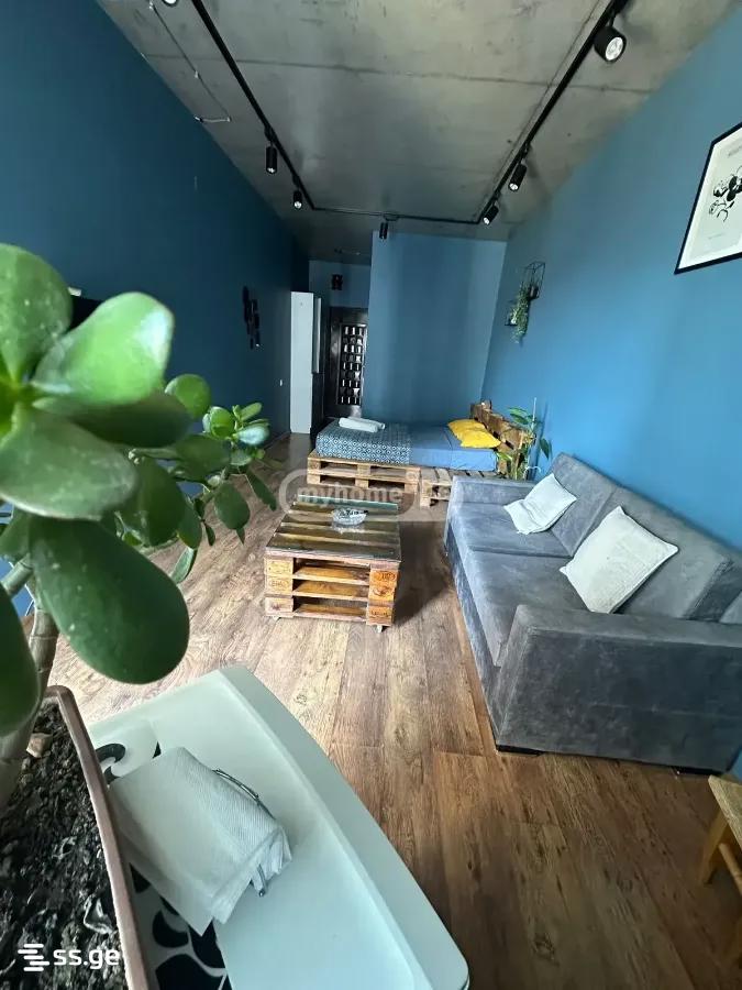 Z. Gorgiladze Street 98 - 1 rooms