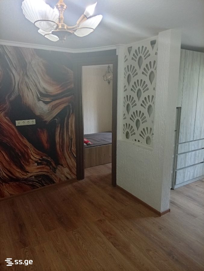 Ts. Dadiani st. (nadzaladevi) - 2 rooms