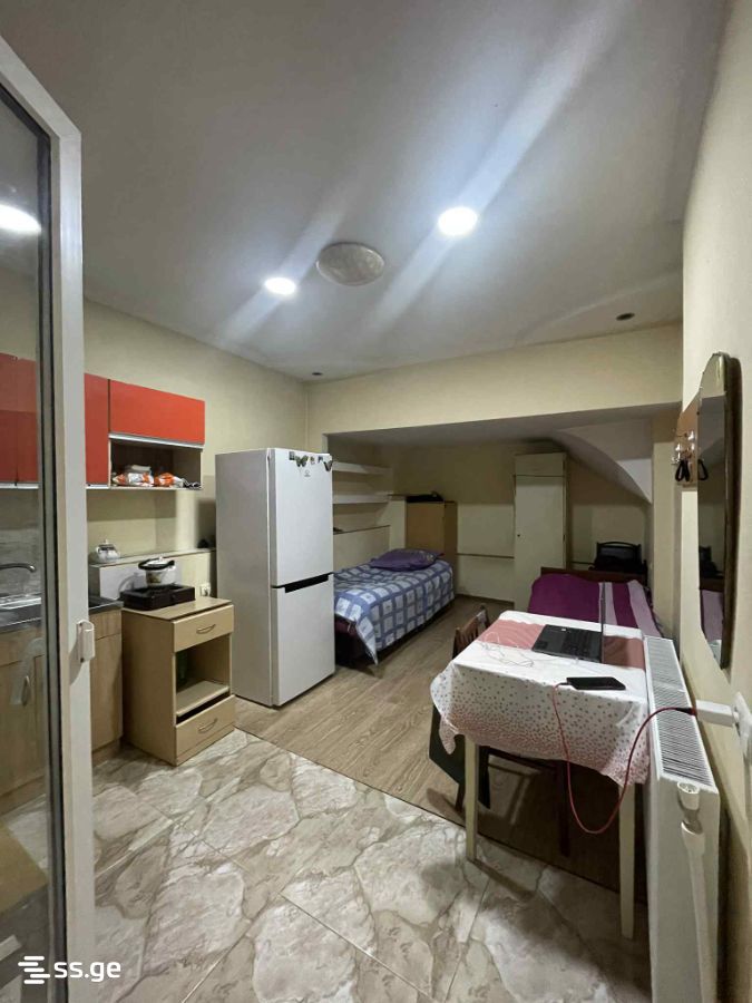 Beri Gabriel Salosi Ave. დირსიჭალის1 - 1 rooms