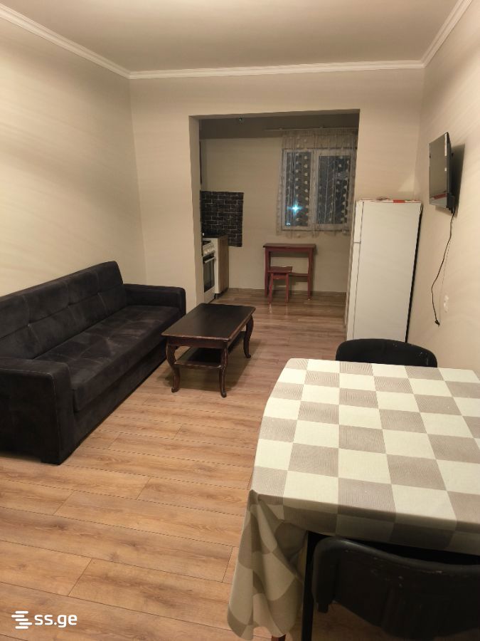 khizanishvili st. 10 - 2 rooms