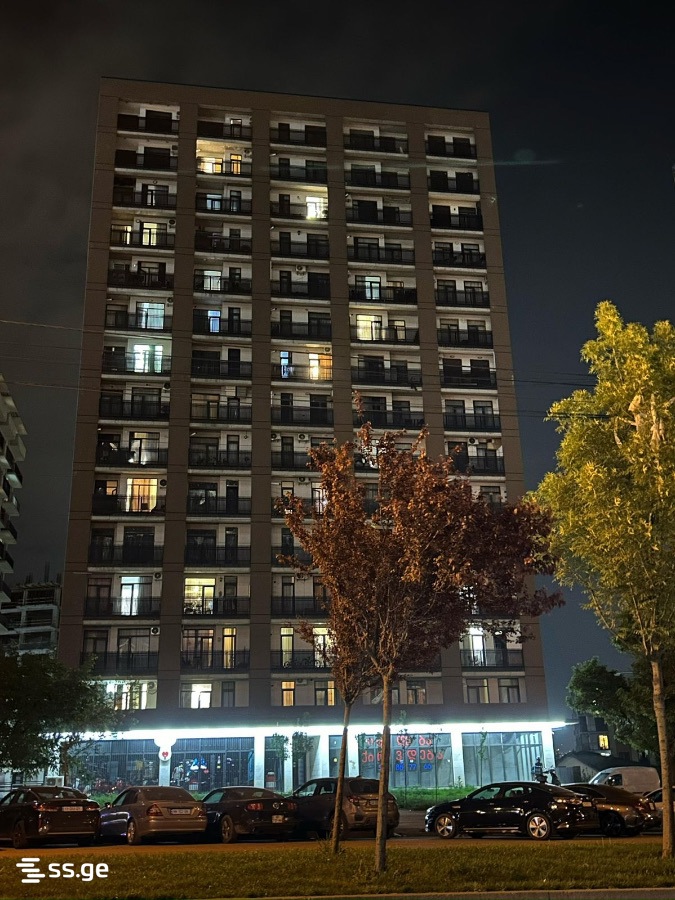 parnavaz mepe avenue 31 - 3 rooms