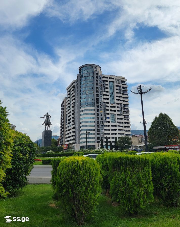 chabukiani st. - 2 rooms