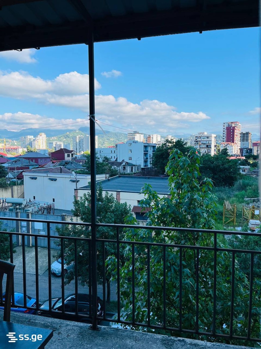 Pushkin st. 176 - 4 rooms
