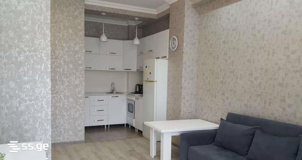 Ts. Dadiani st. (nadzaladevi) 265 - 2 rooms