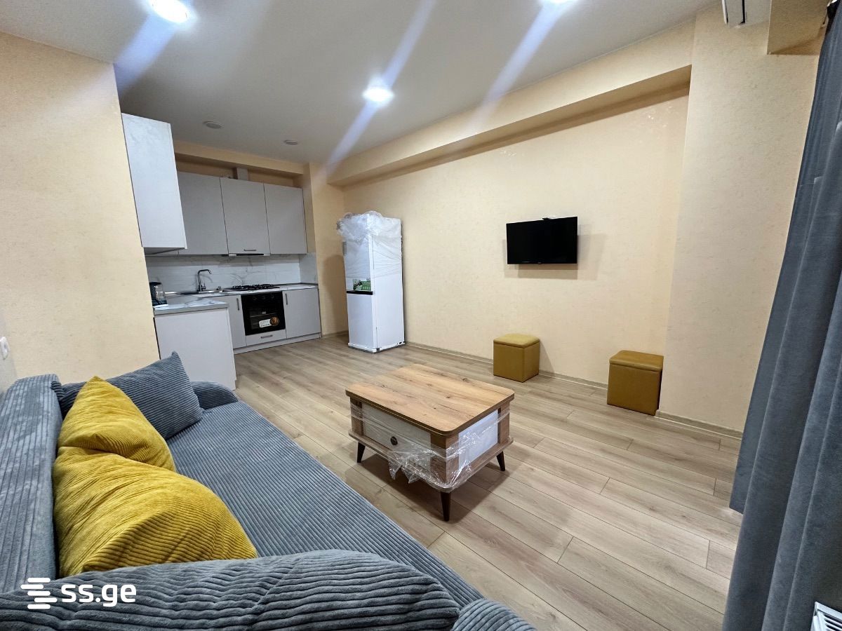 Ts. Dadiani st. (nadzaladevi) 33 - 2 rooms