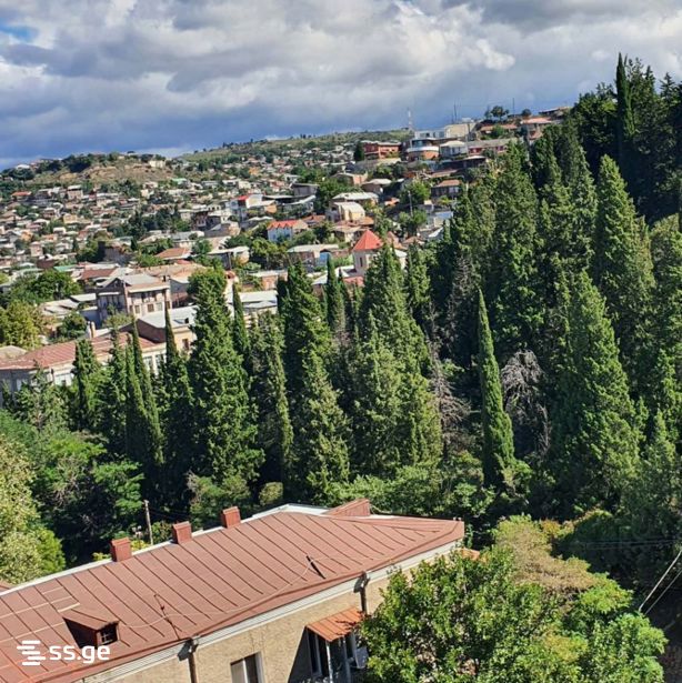 Ts. Dadiani st. (chugureti) 35 - 2 rooms