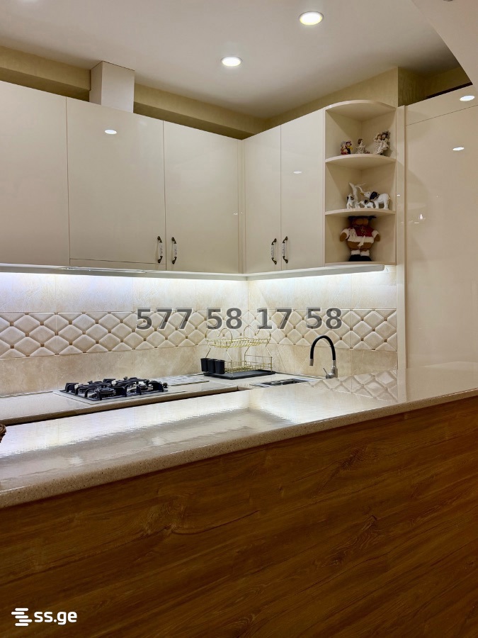 chabukiani st. - 2 rooms