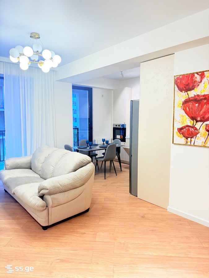Zaldastanishvili st. 7 - 2 rooms