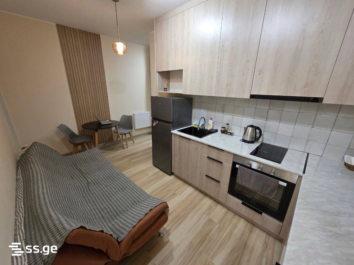 Haidar Abashidze Street 10 - 1 rooms