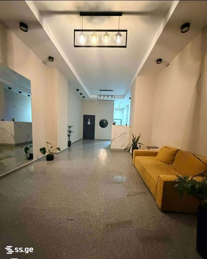 Mirian Mephe st. 49 - 3 rooms