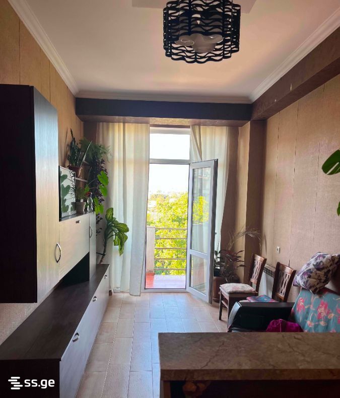 tianeti st. 141 - 2 rooms