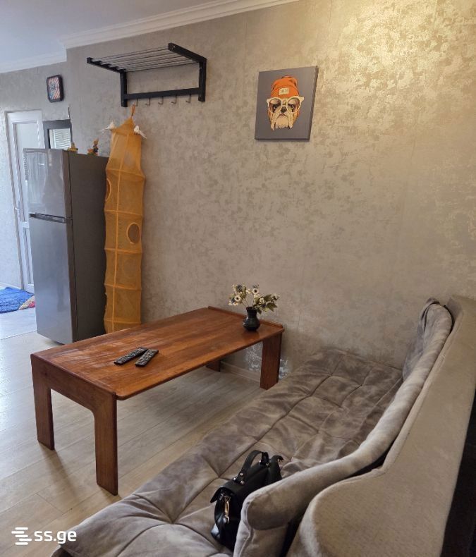 janashia st. 9 - 2 rooms
