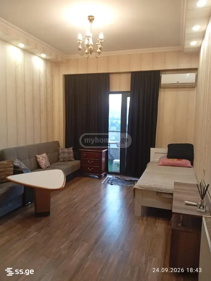 Ts. Dadiani st. (nadzaladevi) 111 - 2 rooms