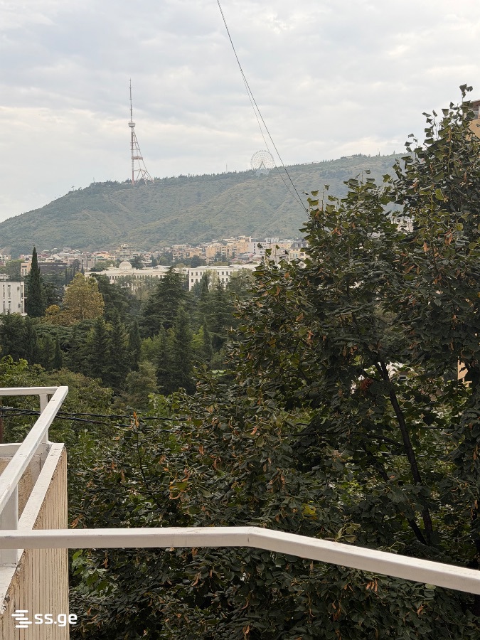 P. Ioseliani st. 2 - 3 rooms