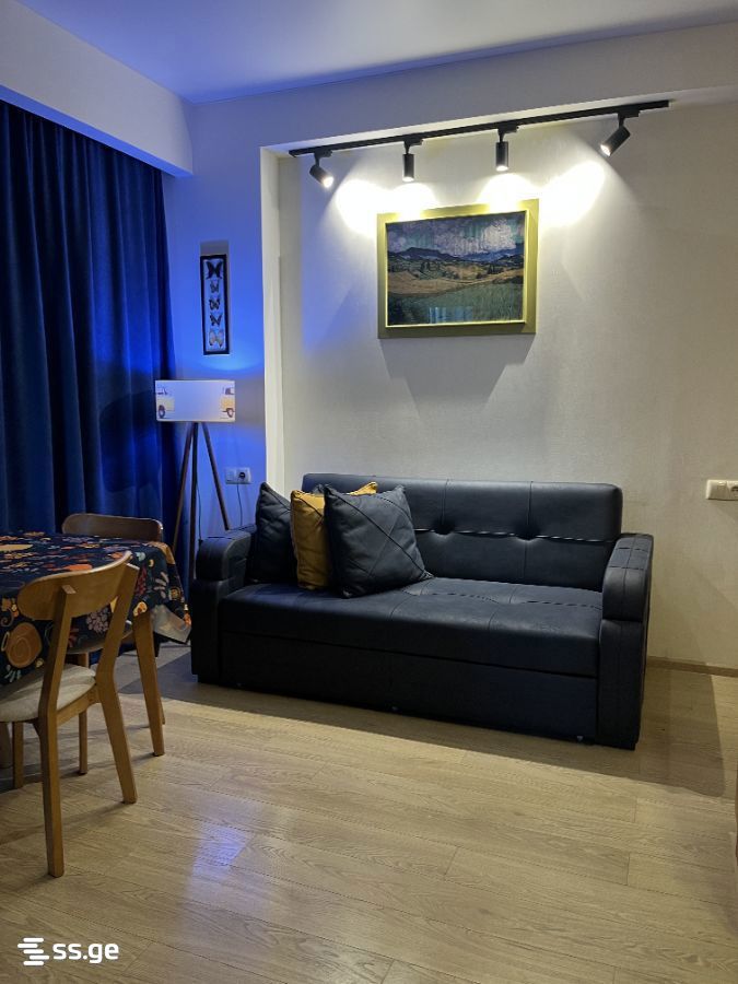 4000 Meskhi st. 4000 - 2 rooms