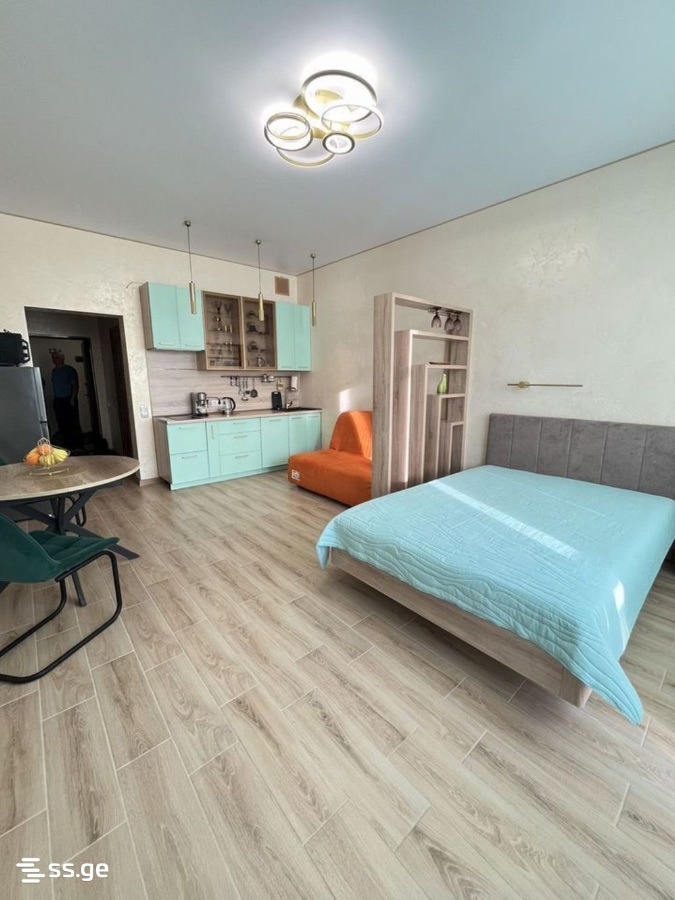 Sherif Khimshiashvili Ave 65 - 1 rooms