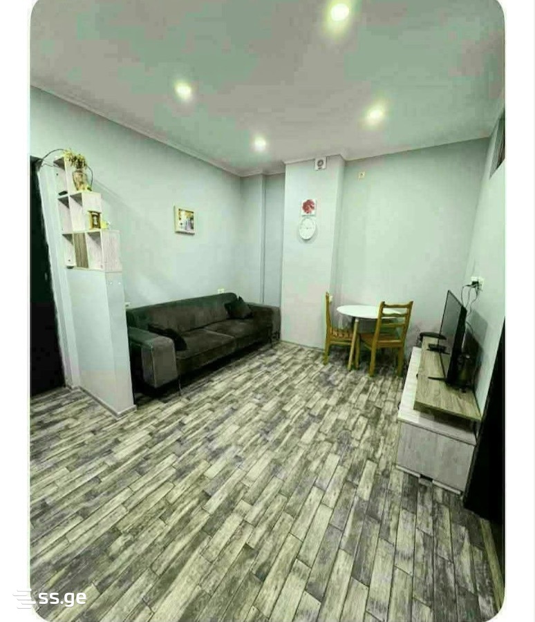 Luka Asatiani Street 13 - 2 rooms