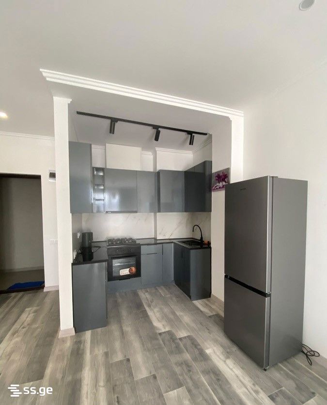 Ts. Dadiani st. (nadzaladevi) 113 - 2 rooms
