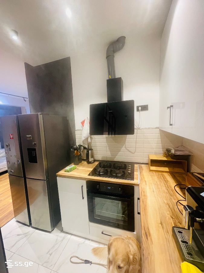 E. Amashukeli st. 33 - 4 rooms